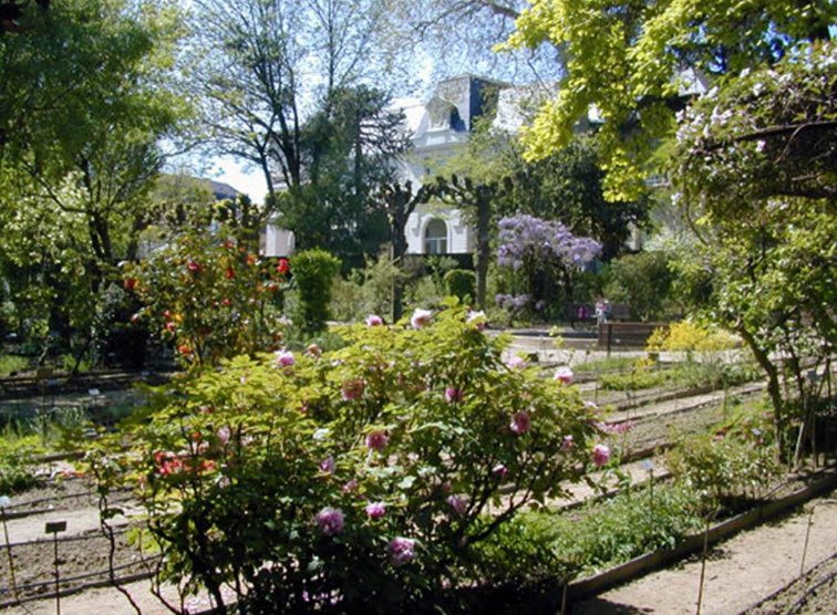 Jardin botanique de la Faculté de Pharmacie d'Angers, Angers, France, France